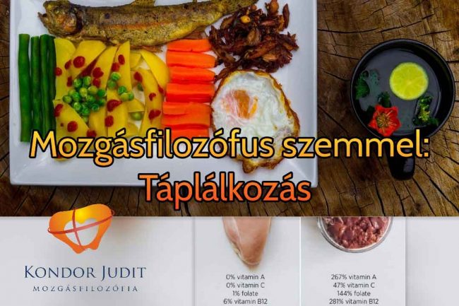 Táplálkozás-Szabó_Dániel